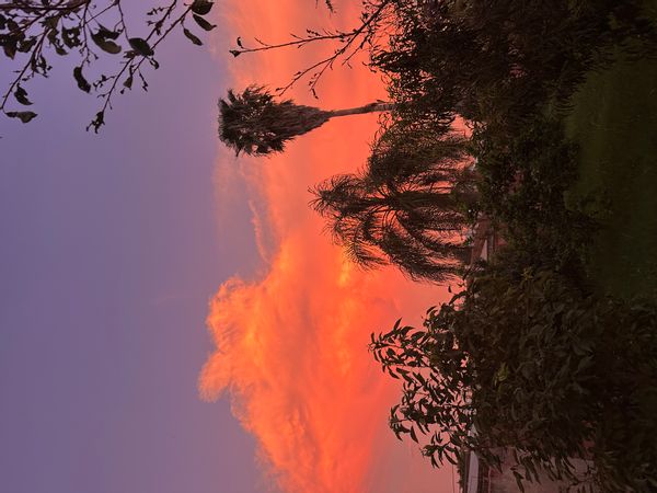 La maison de Silvina