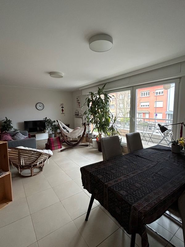 Kasia's house