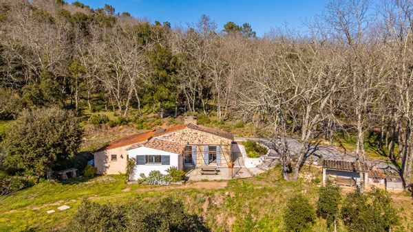 Petit coin de paradis dans la forêt
