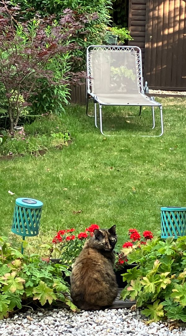 Un agéable 3 pièces chez  Béatrice