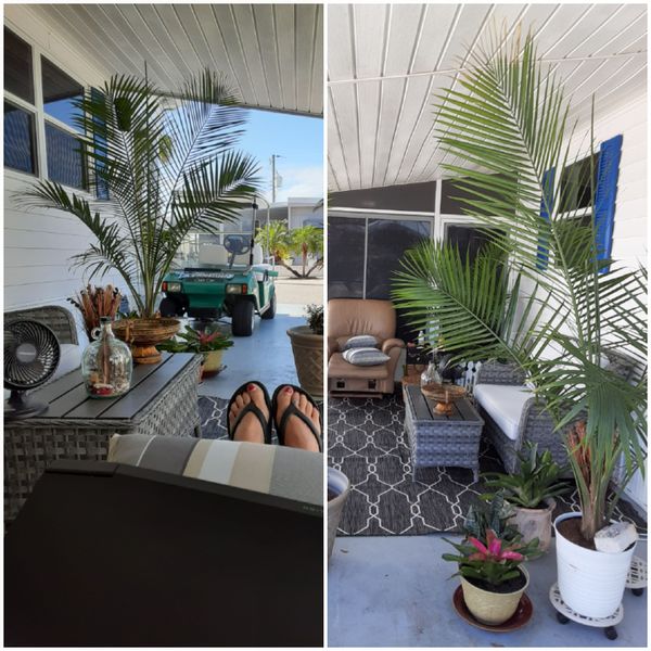 Janet's house