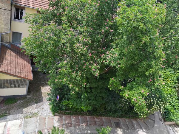 Chambre privée au calme et au centre de Lyon