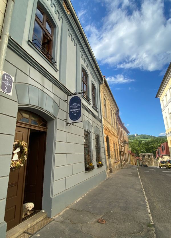 Lubicas hus