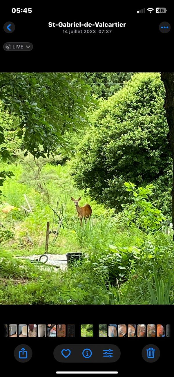 La maison enchantée de Sylvie