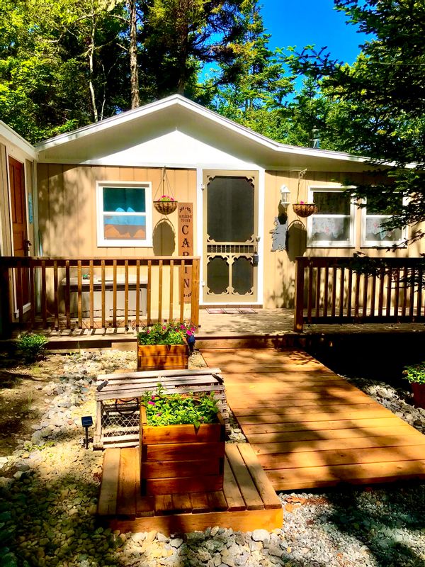 The Cabin