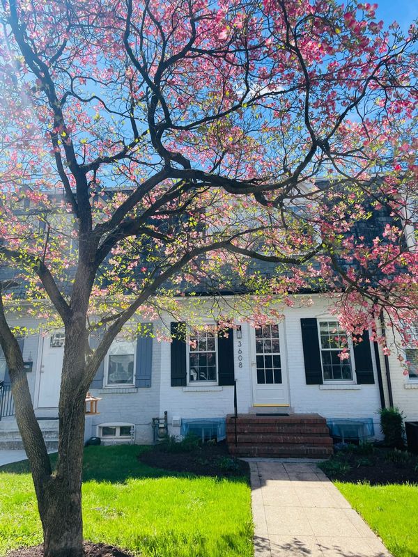 Charlotte's house