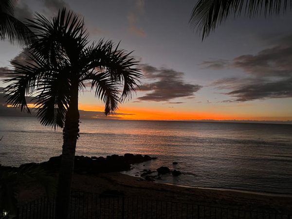 Kouraiech & Sarahs hus