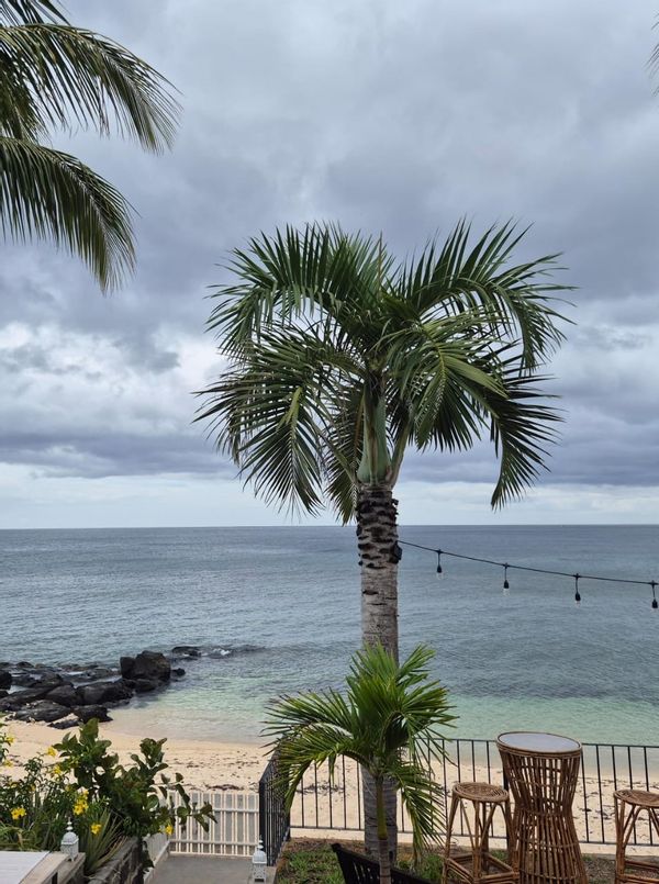 Kouraiech & Sarah s Haus