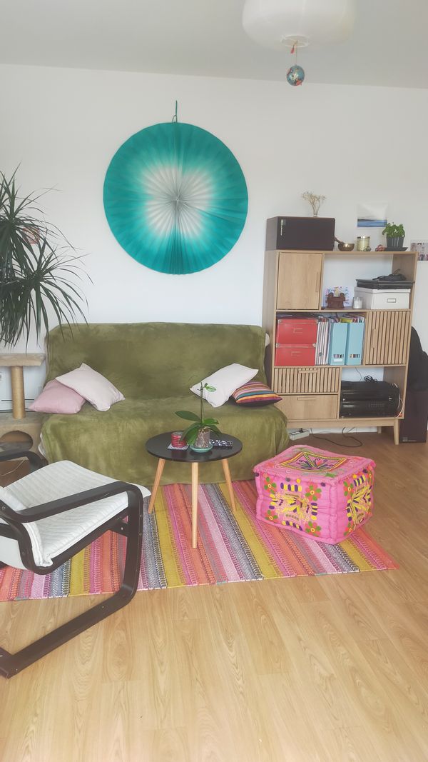 Appartement 2 pièces dans petit bourg tranquille à 20min de Nantes ville verte et très dynamique d'un point de vue culturel en voiture, 30min de la charmante ville italienne Clisson, fort dépaysante, à 1h de la mer. Accès à de nombreux transports en commun (car, busway, train) à proximité de mon bourg (ou car dans mon bourg pour la périphérie de Nantes qui relie à un tramway). Nombreuses randonnées aux alentours.
