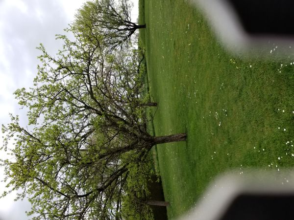 La maison de Thierry
Maison au calme dans petit village proche de vittel