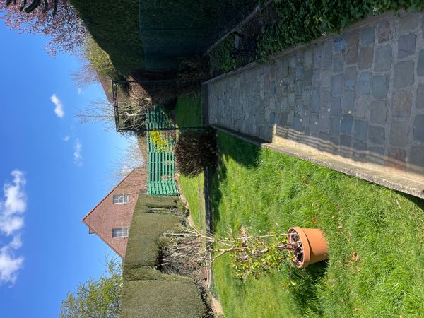 La maison de Beatrice