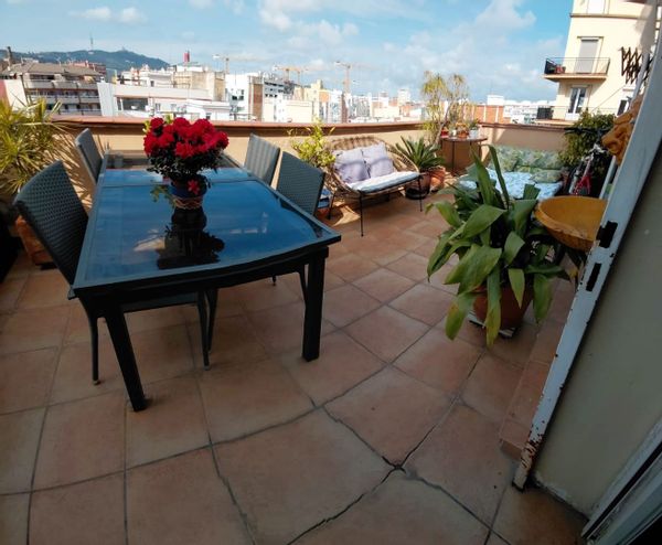 Teresa's house