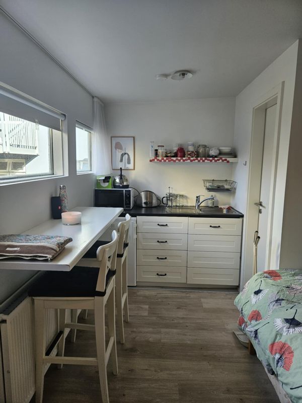 Studio apartment in the heard of Reykjavík