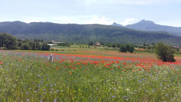 Tiny House lumineuse. Ressourçant.