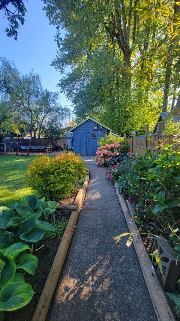 The Little Urban Farm