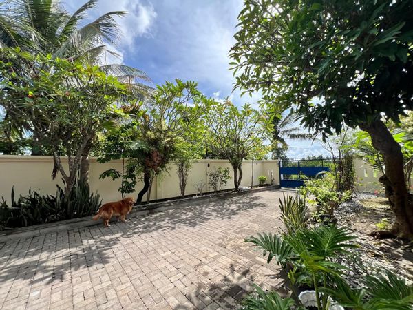 Mark & Nova's tropical home