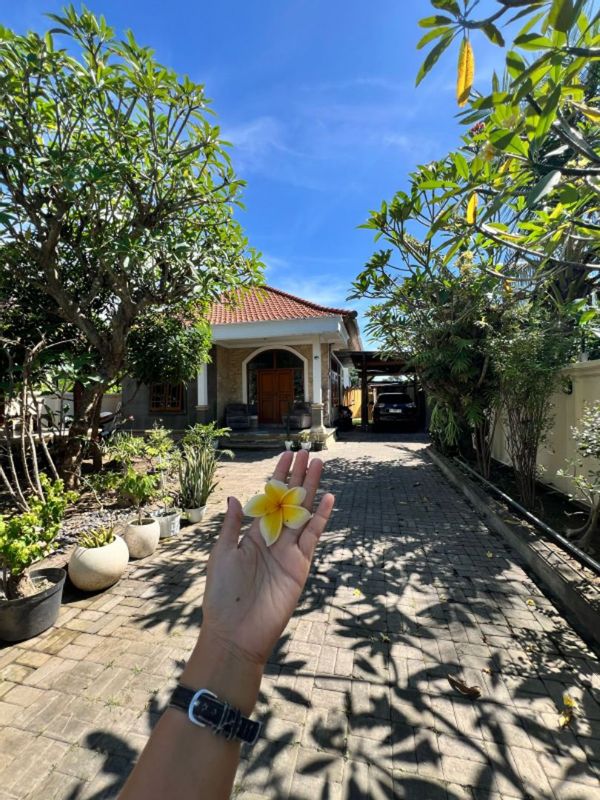 Casa de mark & nova
