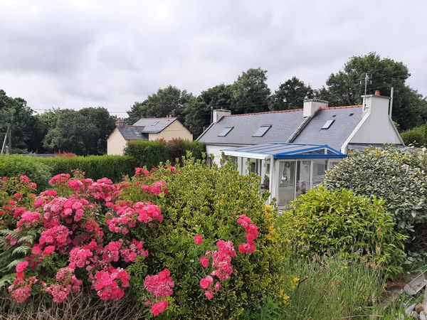 Dominique's house