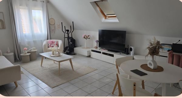 Les voisins de Mickey