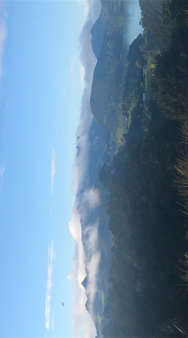 home