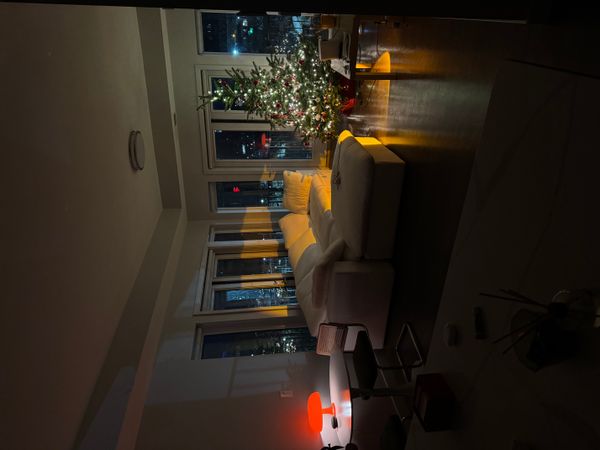 Modern 2BR with Balcony in Central Rochester