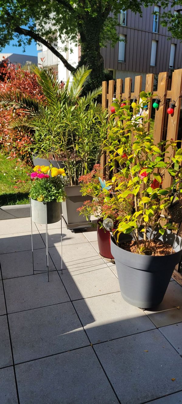 Le jardin des fleurs