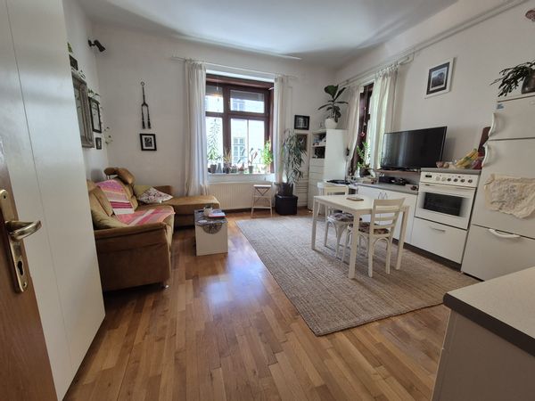 Cozy Apartment in the Heart of Ljubljana