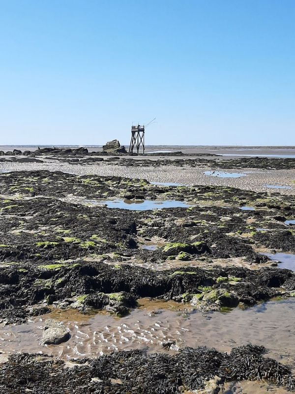 L'appart de la famille Ravard