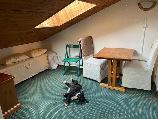 huis van Lee and Kevin