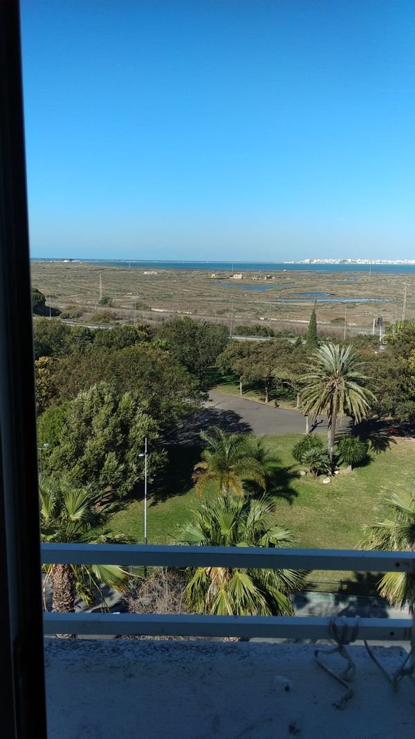 Ana's house
