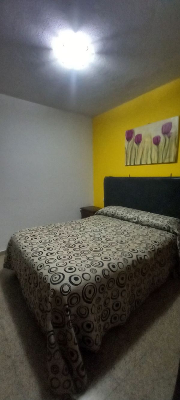 Lorena's house