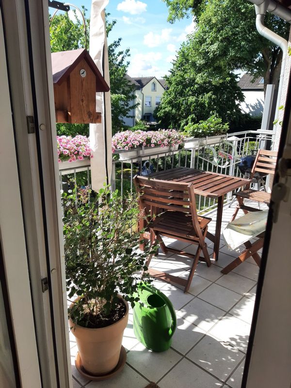 Katrin's house