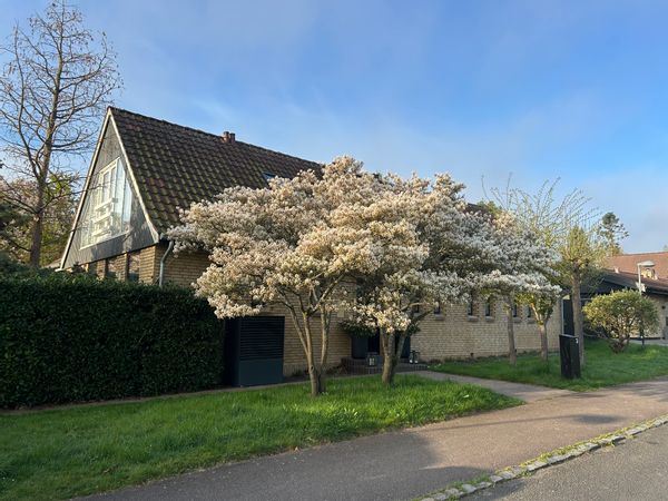 Casa de Søren