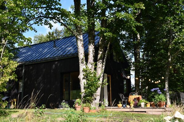 Le bois des z'êtres