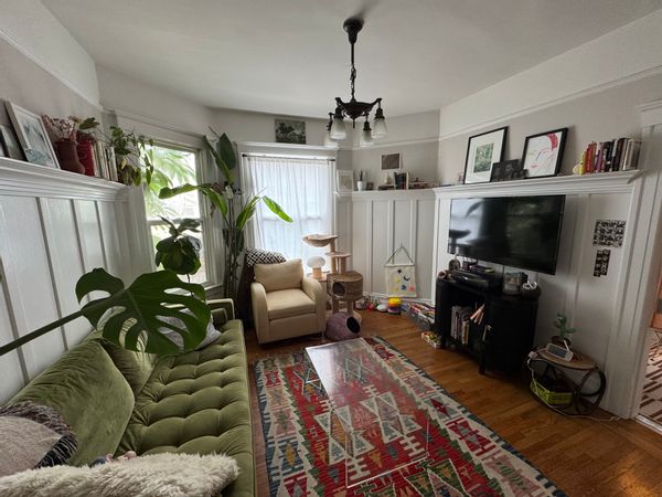 Mission District Tree House Vibes