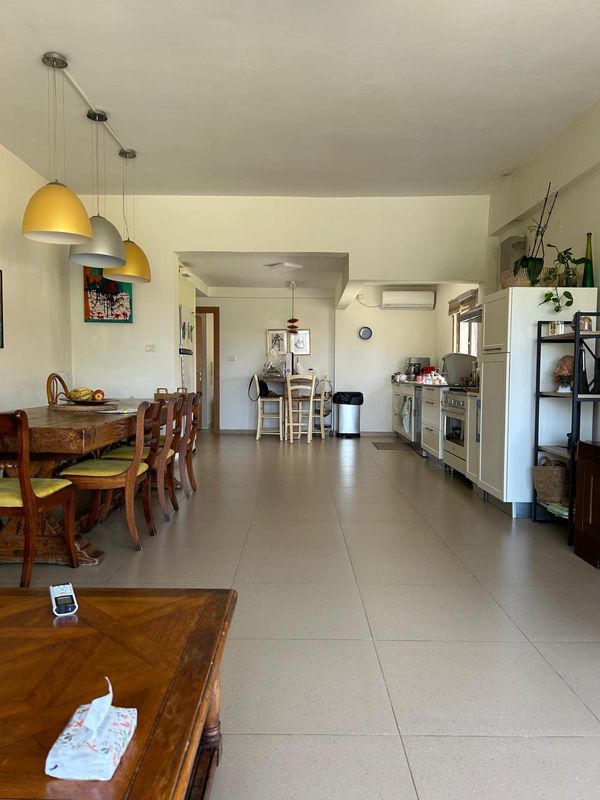 Aviram's house