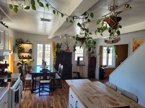 Looking for house/cat sitter in July