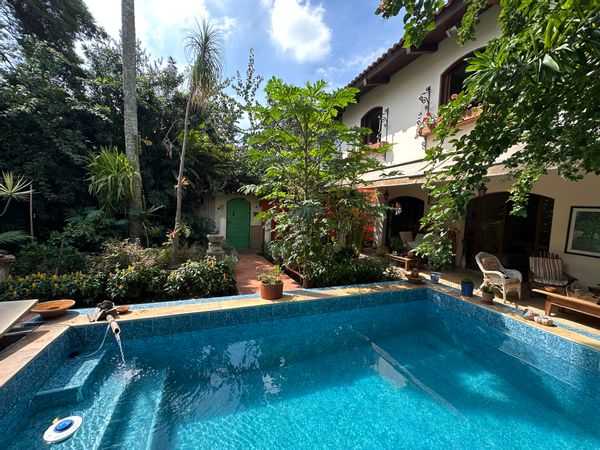 Garden oasis in São Paulo