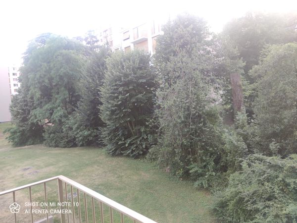 el apartamento de Chelo