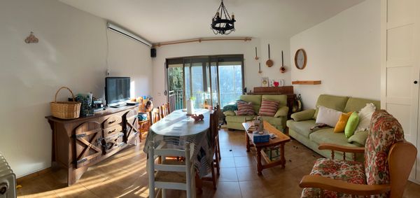 Palomas hus