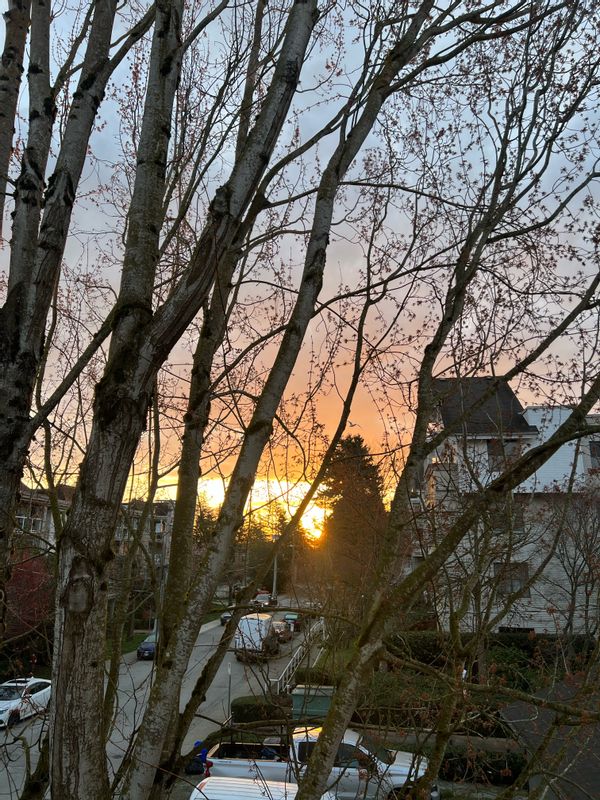 La maison de Tais Helena