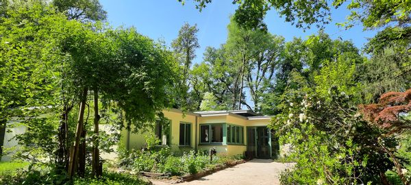 Beautiful spacious bungalow in the forest with 4650 m2 private garden, very centrally located in the Netherlands for all sights.