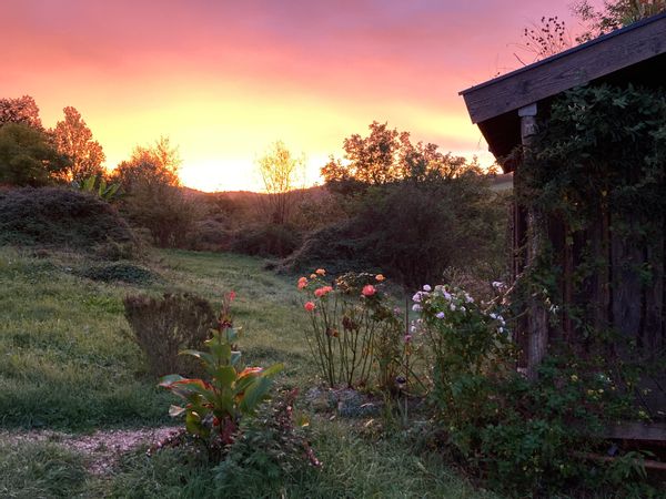 La cabane de l’arbre