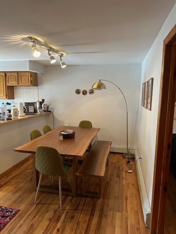 Williamsburg Apartment w Balcony