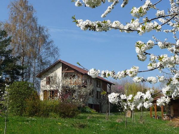 CLAIRE et THIERRY's house
