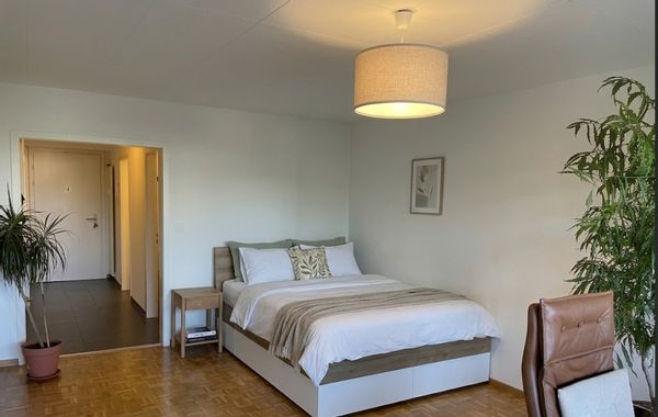 Comfortable Studio in the heart of Switzerland with private garden and electric car for adventures.