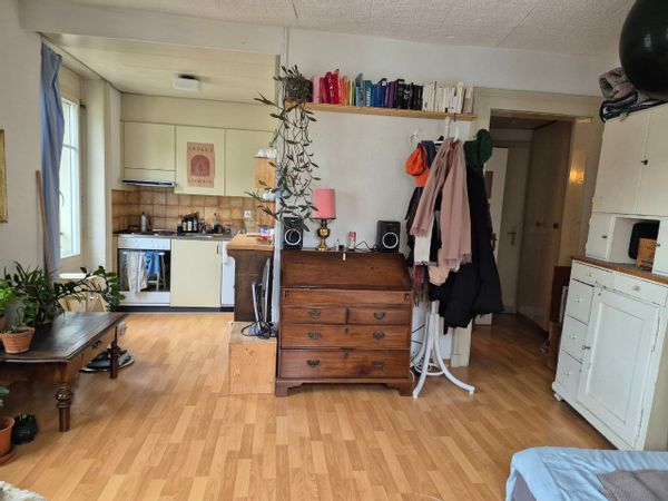 Cozy flat near the forest and city center