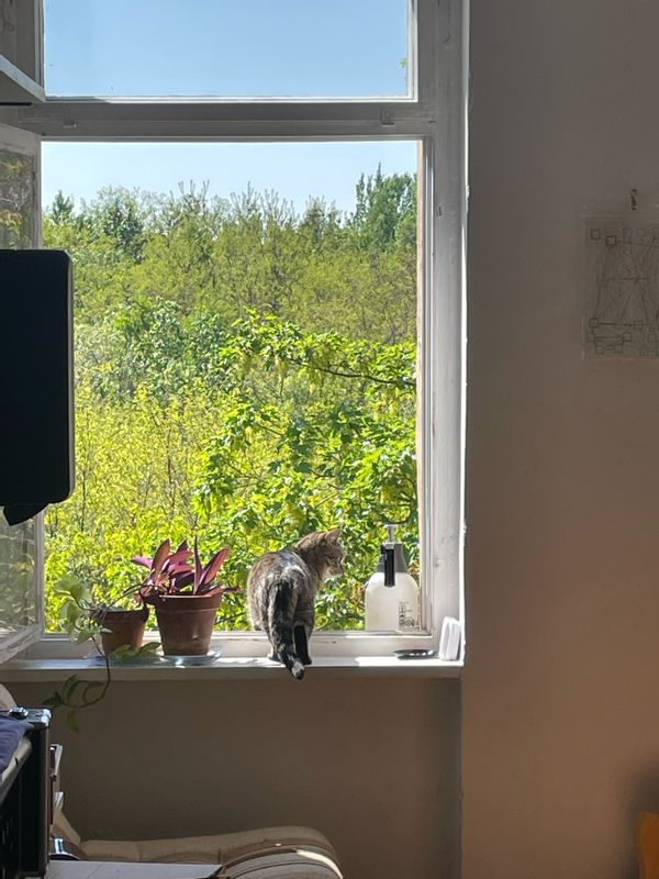 home