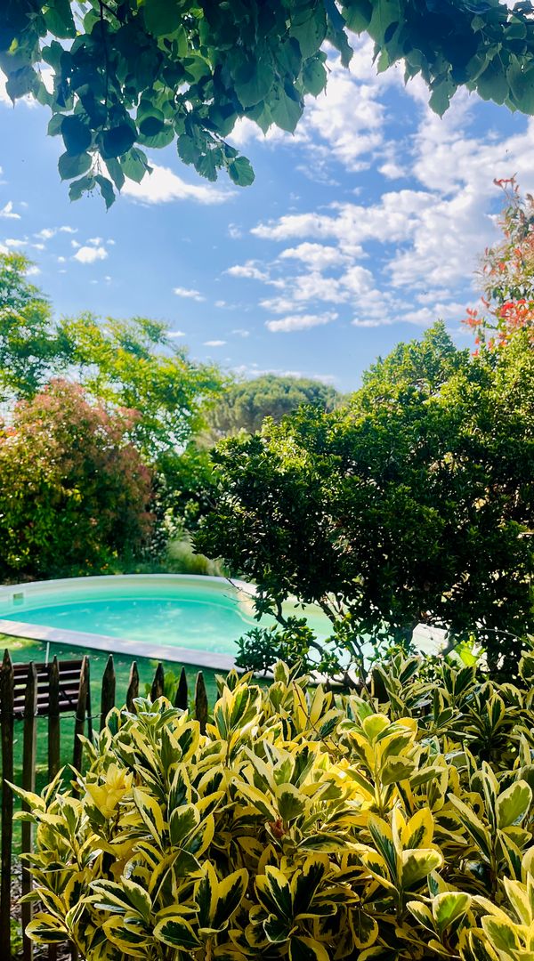 Maison de maître avec piscine