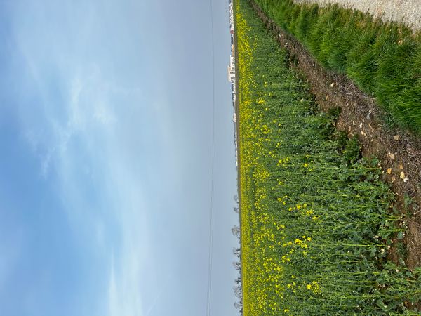 Maison accueillante, proche de la mer et de la ville.